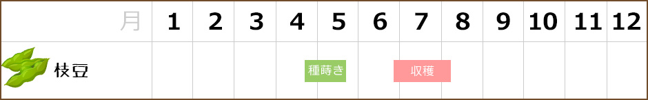 枝豆,栽培カレンダー