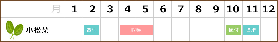 小松菜,栽培カレンダー