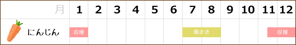 にんじん,栽培カレンダー