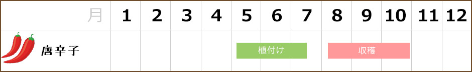 唐辛子,栽培カレンダー