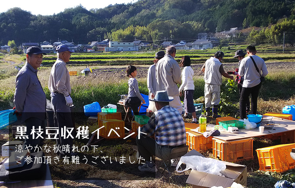 黒枝豆収穫イベント